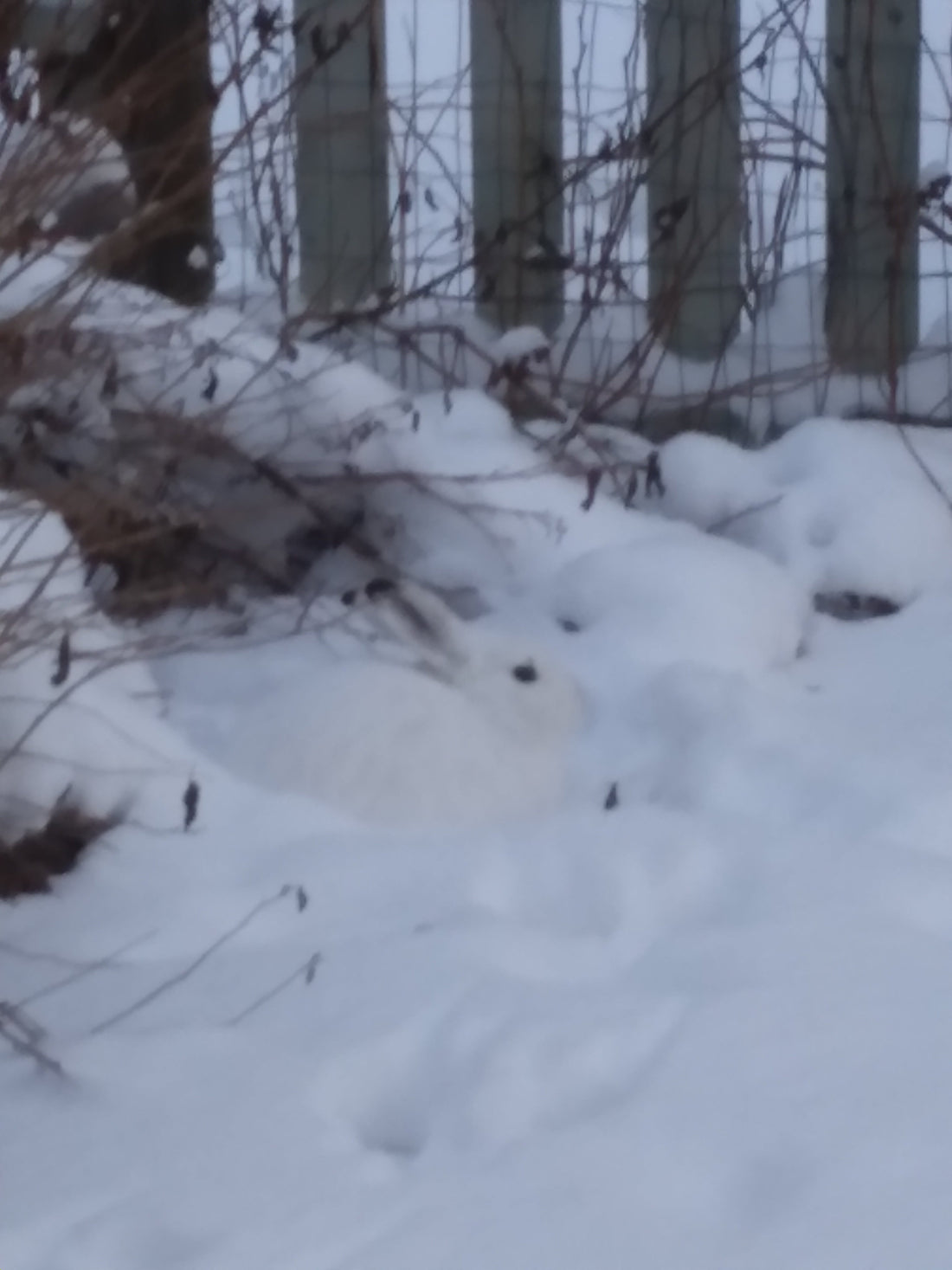 Mukavaa Joulunodotusta.